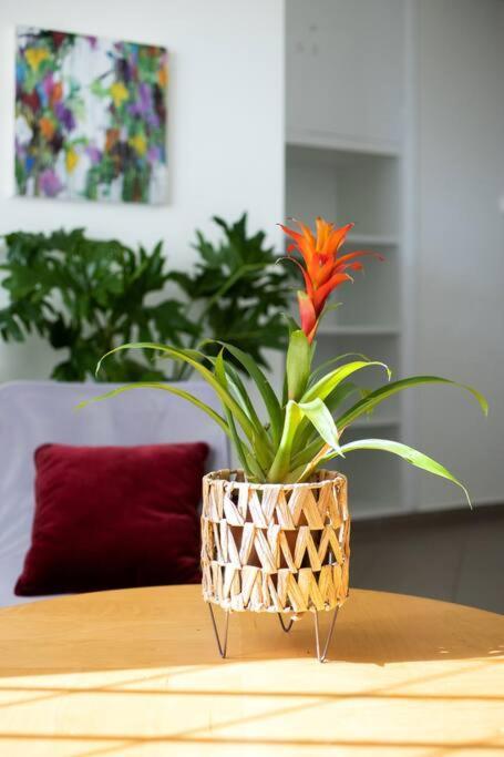 Best Spot Apartment In Афины Экстерьер фото